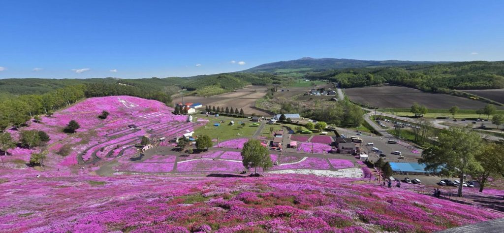 【前編】「大きなクモ」が札幌へ導いた！？場所を選ばない働き方、フルリモートが叶えた、大好きな北海道への引っ越し物語というタイトルの記事のアイキャッチ画像